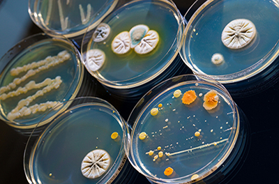 Enzymes